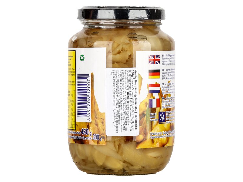 Healthy Boy pácolt gyömbér 420g