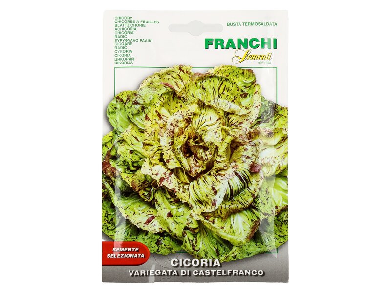 Franchi Cikória (Castelfranco) vetőmag