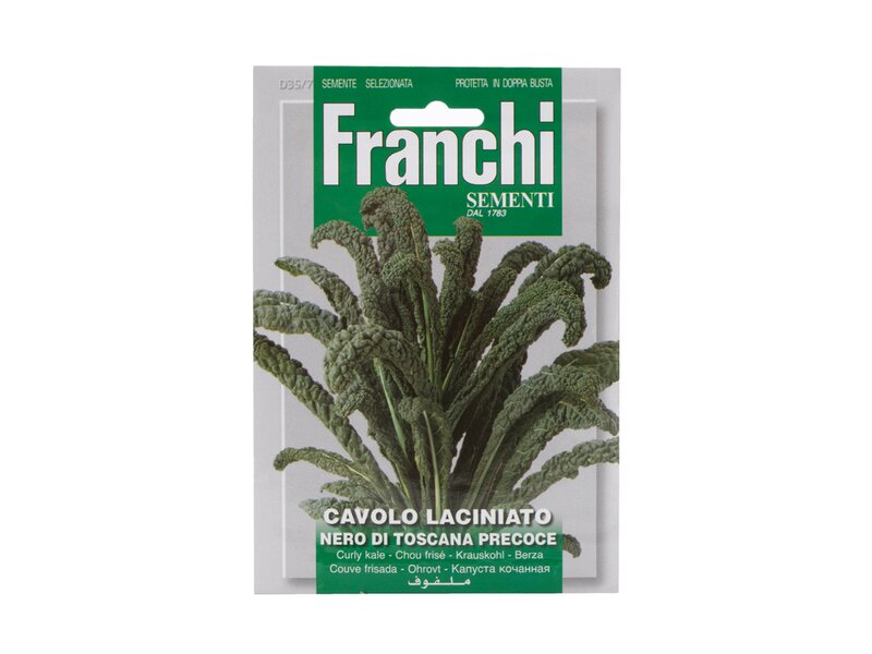 Franchi Cavolo Laciniato Nero di Toscana kel