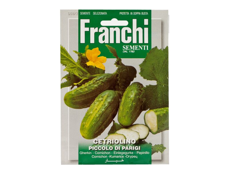 Franchi uborka (párizsi,kis méretű) DBO