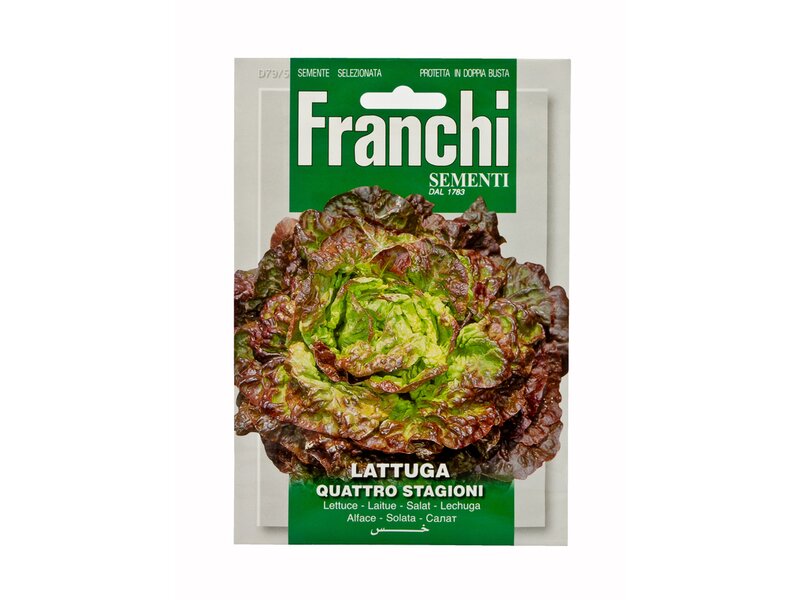 Franchi Lattuga Quattro Stagioni saláta