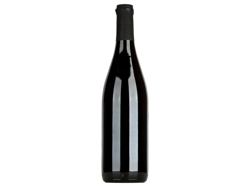 Vizi Pince Pinot Noir 2018 0,75l